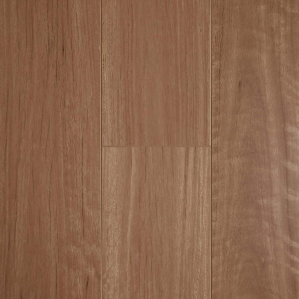 Aged Blackbutt