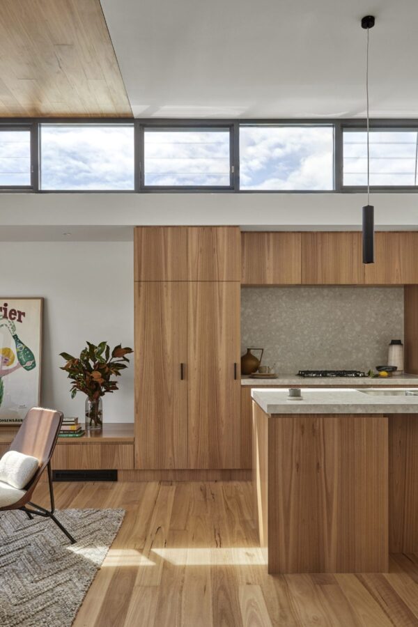 Blackbutt - Image 3