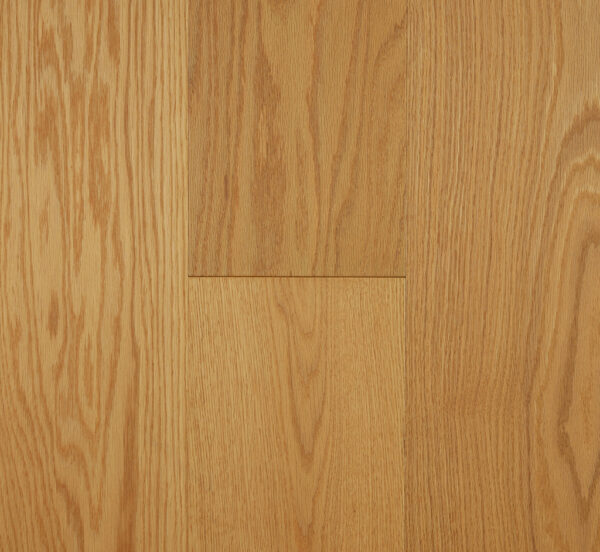 Forest Oak