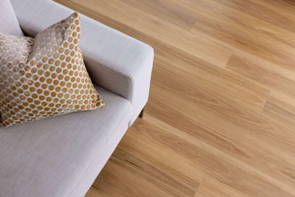 Blackbutt - Image 3