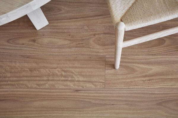 Blackbutt - Image 2