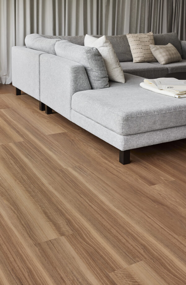 Coastal Spotted Gum - Image 2