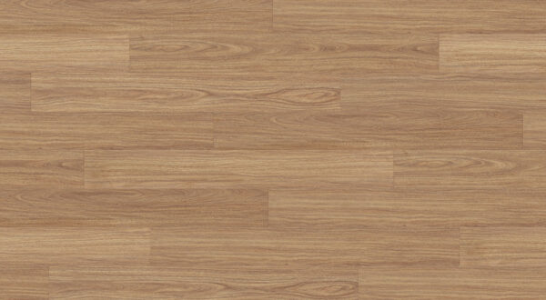 Crystal Spotted Gum