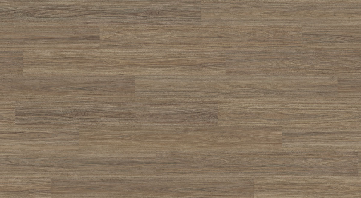 Palmcove Spotted Gum