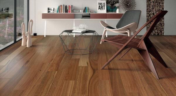 Spotted Gum - Image 2