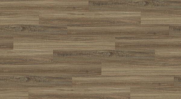 Coastal Spotted Gum