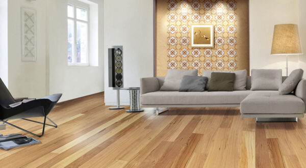 Blackbutt - Image 2
