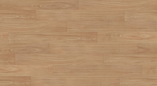 Norseman Blackbutt