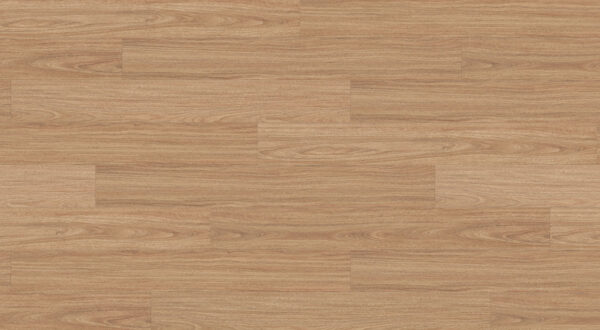 Inland Spotted Gum