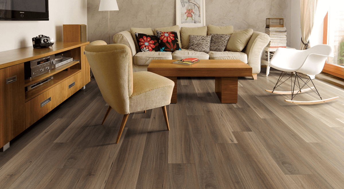 Mercury Spotted Gum - Image 2