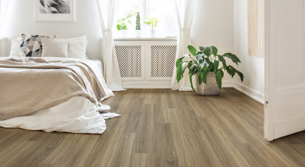 NSW Spotted Gum - Image 2