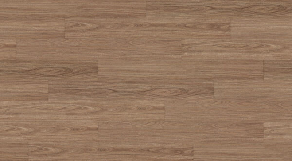 Golden Sapphire Spotted Gum