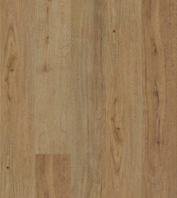 Snow Oak