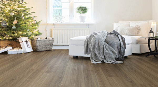 Coastal Spotted Gum - Image 2